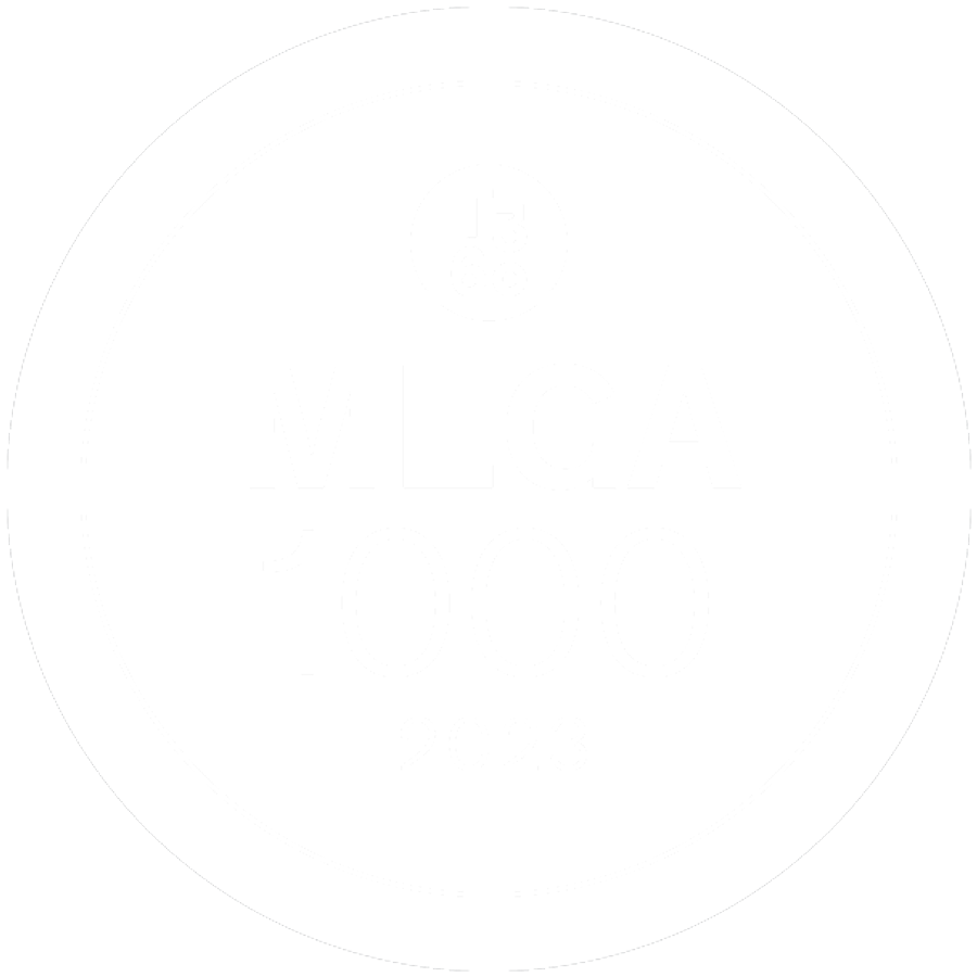 mega 1000